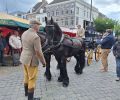 03 Spargeltour-Karin.jpg